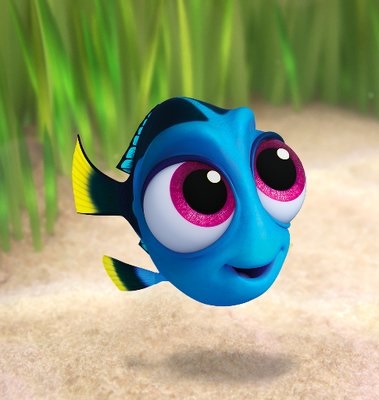 Dory jeune