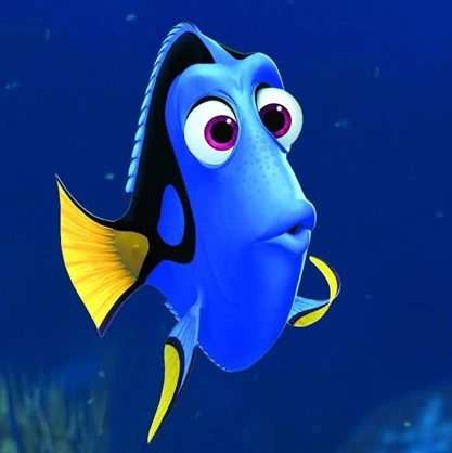 Dory